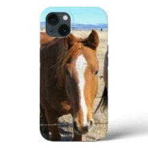 Capas de telefone de cavalos