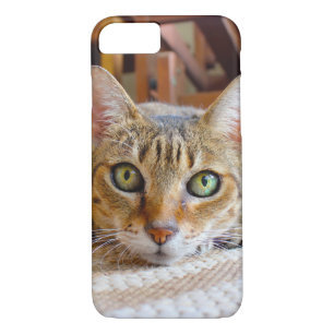 Capas de telefone de Gato Bonito