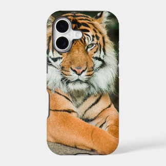 Capas e Cases de Celular de Futebol Clemson Tiger