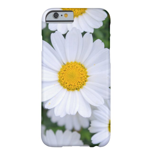 Capas Floral 6 Personalizada com Daisy (Verso)