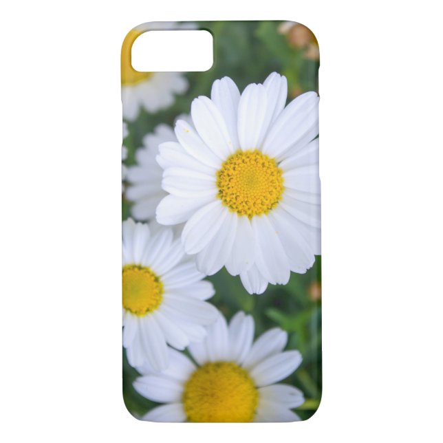 Capas Floral Personalizada iPhone 7 com Daisy (Verso)