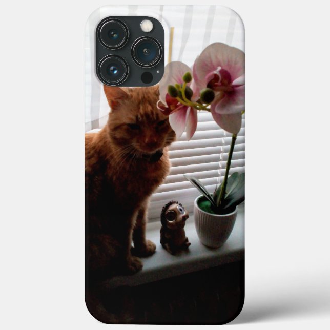 CAPAS IPhone 13 Pro máx para amantes de gatos (Verso)