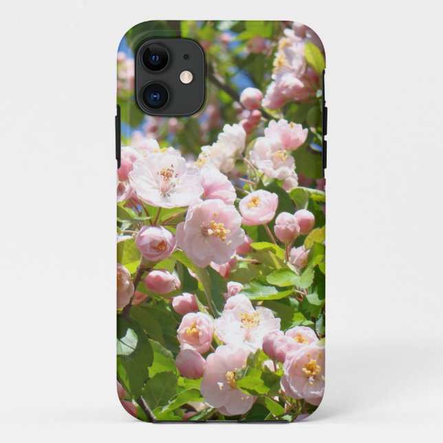 Capas para iPhone 5 Flores Cor-de-rosa da Primaver (Verso)