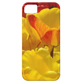Capas para iPhone 5 presentes Tulipas Amarelas e V