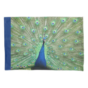 Capas travesseiros - Pavão Orgulhoso