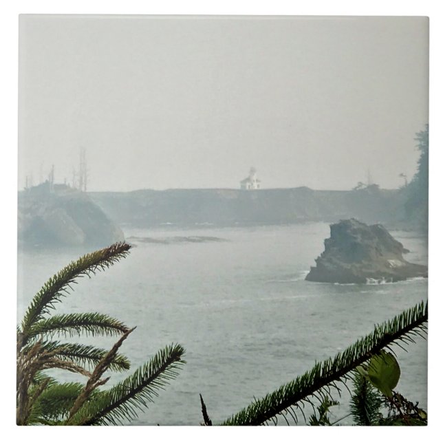Cape Arago Lighthouse, OR (Frente)