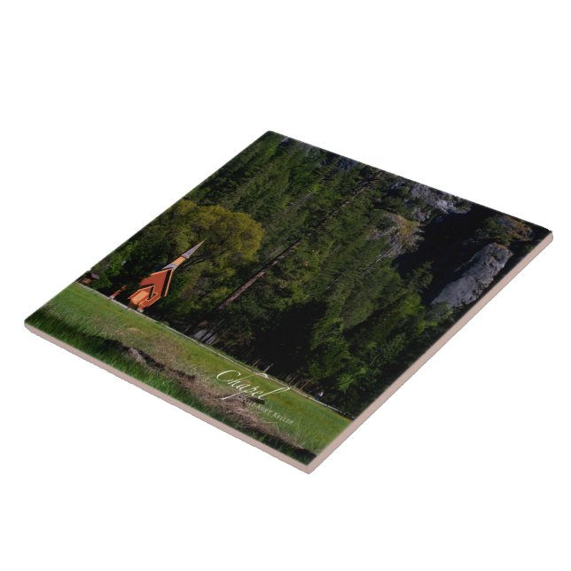 Capela em Yosemite (Lateral)