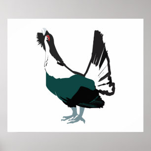 Capercaillie bird Art Value Poster Paper (Matte)
