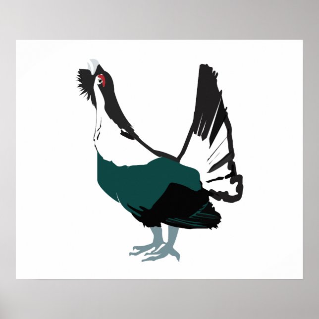 Capercaillie bird Art Value Poster Paper (Matte) (Frente)