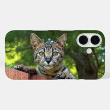 Capinha de telefone de gato Savannah