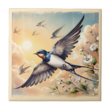 Capistrano Barn Swallow em Ouro Sunset