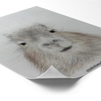 Capivara | Impressão de Arte de Desenho a Lápis Fo
