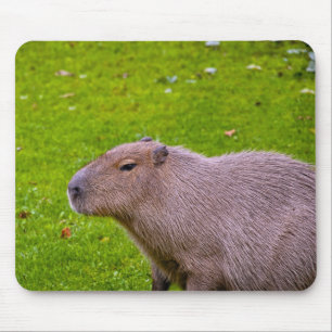 Capivara Mousepad
