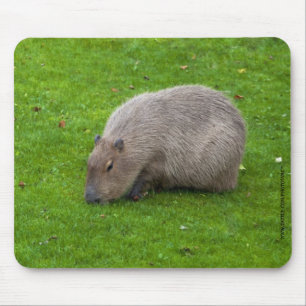 Capivara Mousepad