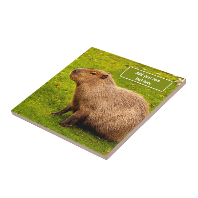 Capivara Personalizada (Lateral)