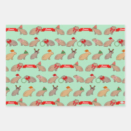 Capivara Personalizada Animais Selvagens Fofos Nat