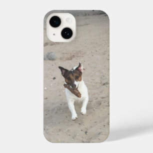 Capo von Oppenheim, Jack Russell Terrier Dog