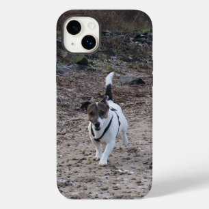 Capo von Oppenheim, Jack Russell Terrier Dog