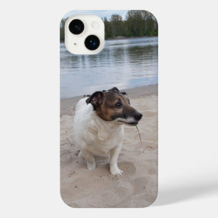 Capo von Oppenheim, Jack Russell Terrier Dog