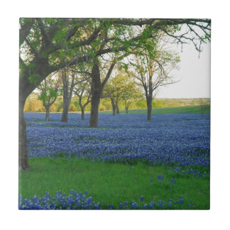 Capotas do azul de Texas