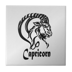 Capricórnio o Bode Marinho Zodíaco