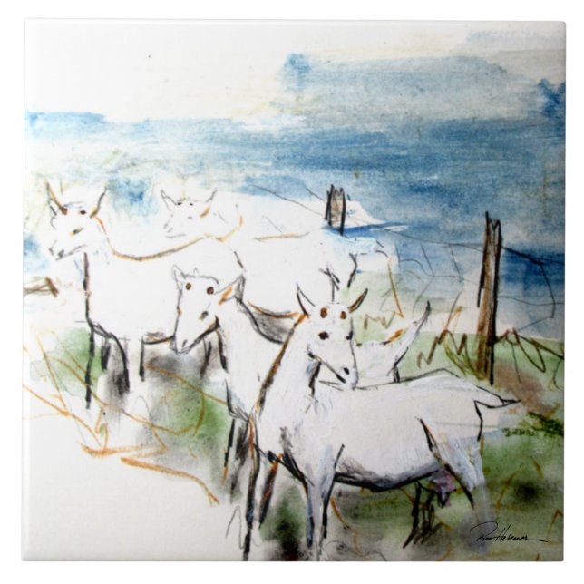 Caprinos em Problemas (Frente)