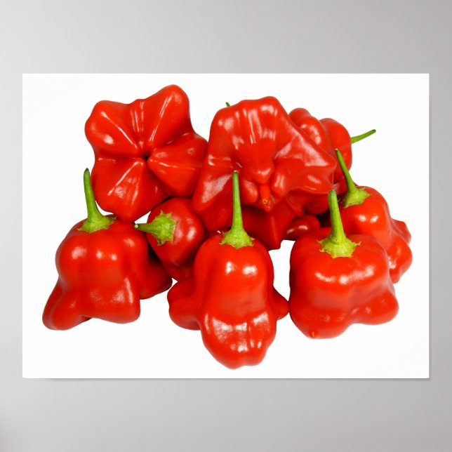 Capsicum Chinense Chili Poster (Frente)
