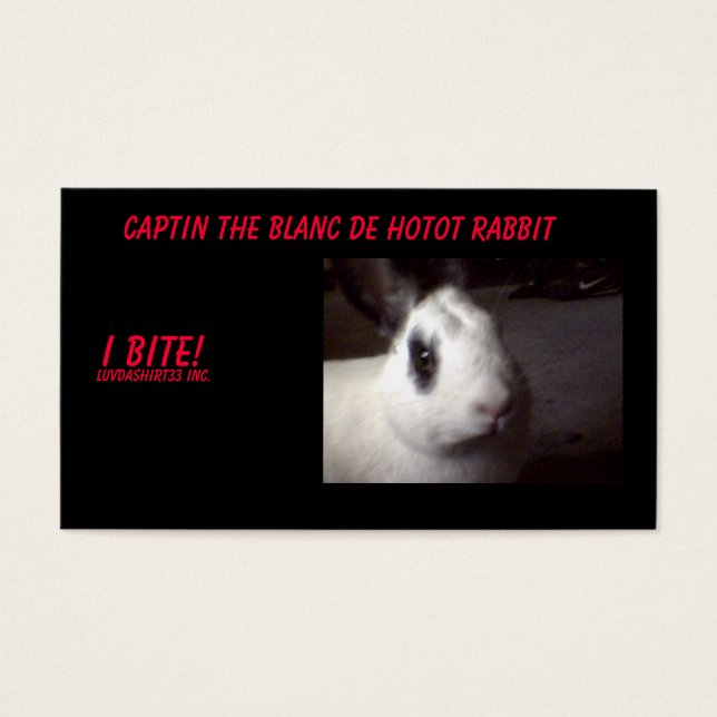 Captin001, Captin The Blanc De Hotot Rabbit, I... (Frente)