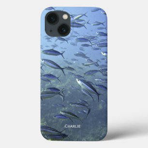 Captura de peixe. Mergulhar debaixo d'água. Perso