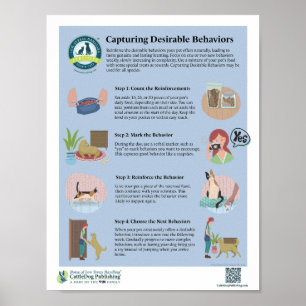 Capturando comportamentos desejáveis Poster