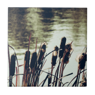 Capturas, Plantas De Pond
