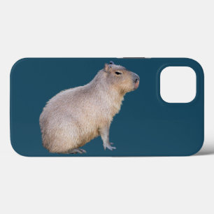Capybara