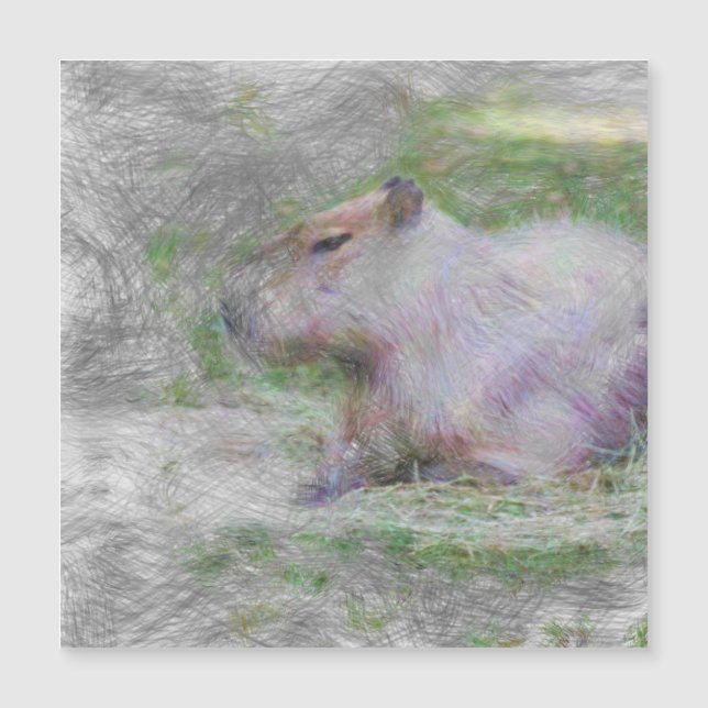 capybara artística (Frente)