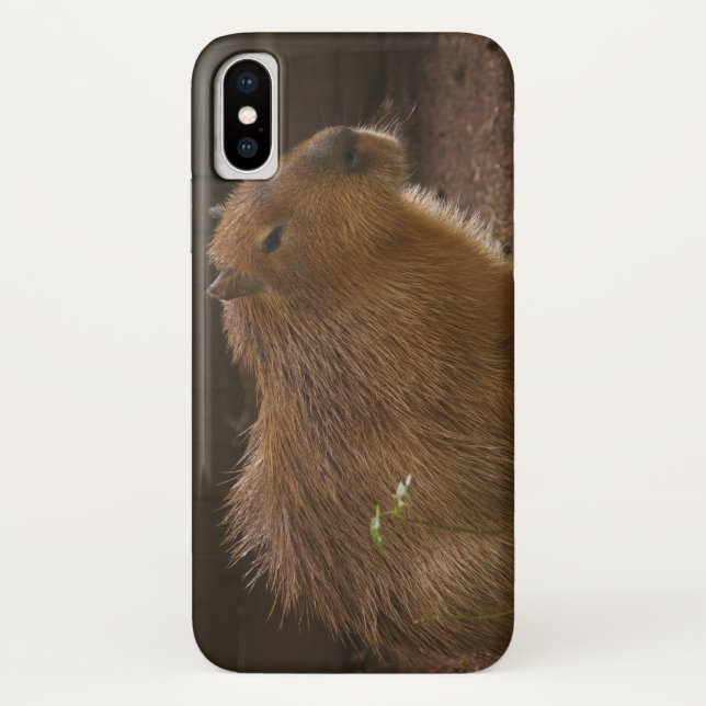 Capybara Case-Mate capas de iphone (Verso)