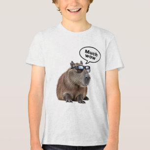 Capybara, legal, Foto de Óculos Solares, Capybara,