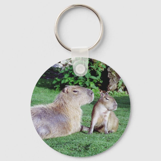 Capybara Mãe e Son Chaveiro (Frente)