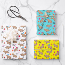 Capybara Personalizada Aniversário Ilustrada À Mão