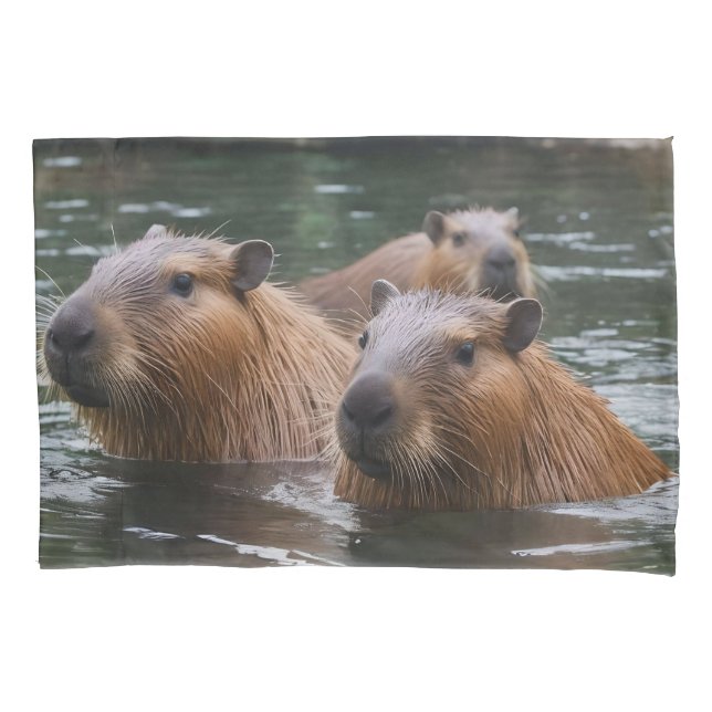 Capybaras' Swimming In The River,  (Frente-Esquerda)