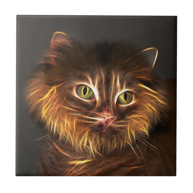 Cara abstrata do gato (Frente)