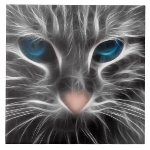Cara de Gato Azul Incrível