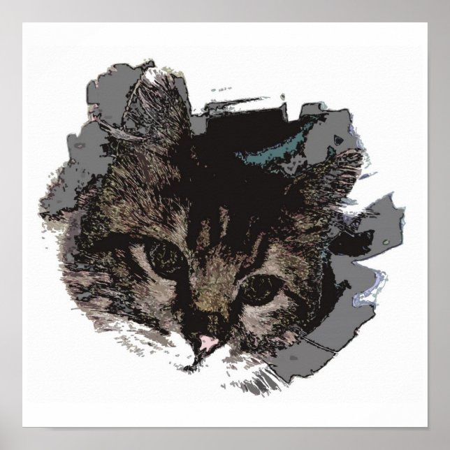 Cara de gato - Olhos de Impressão de Poster de gat (Frente)