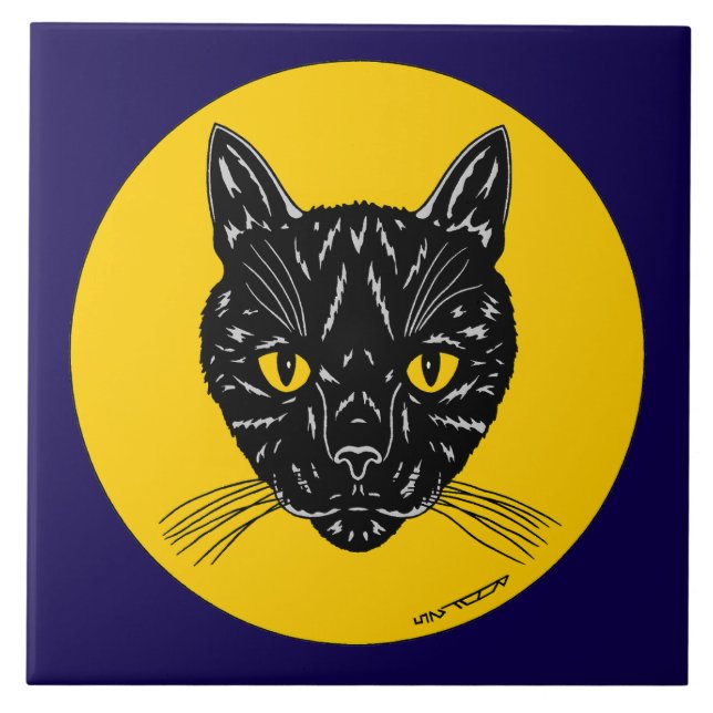 Cara de Gato Preto (Frente)