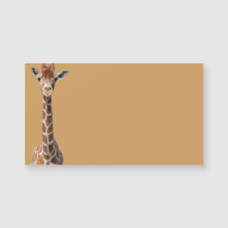 Cara de girafa bonita