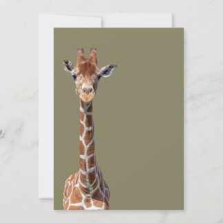 Cara de girafa bonita