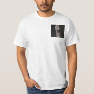 Cara de Nadinho de Camisa
