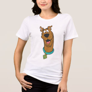 Cara de sorriso de Scooby-Doo