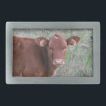 Cara de vaca de Baby Brown<br><div class="desc">Carinha de Vaca Castanho. Foto de Sandy Closs. vacas marrons touro "baby bull" fazenda "fazenda animal" "animais de exploração" "presentes de vaca" "decoração de vaca" "decoração de fazenda"</div>