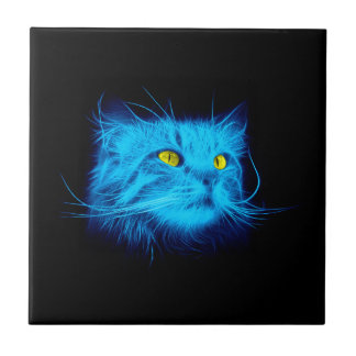 Cara do gato azul