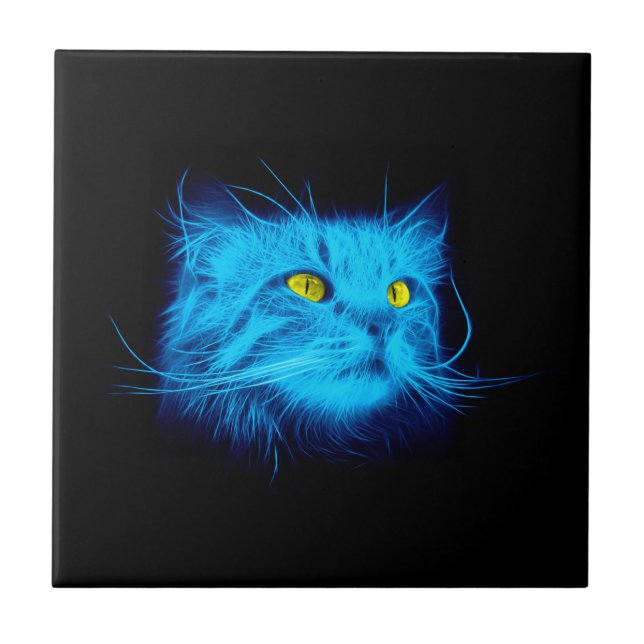 Cara do gato azul (Frente)