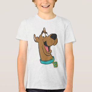 Cara feliz de Scooby-Doo